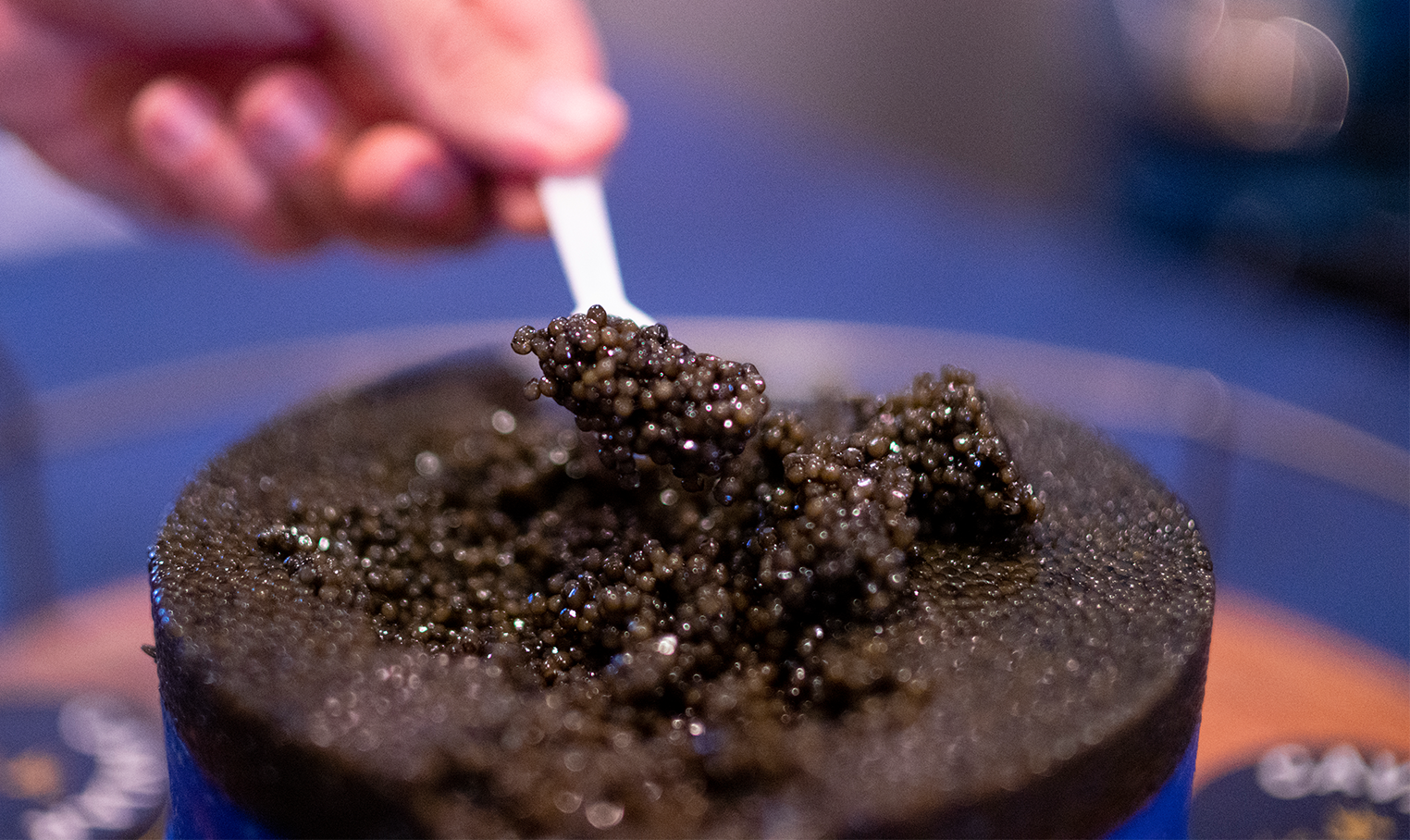 Caviar