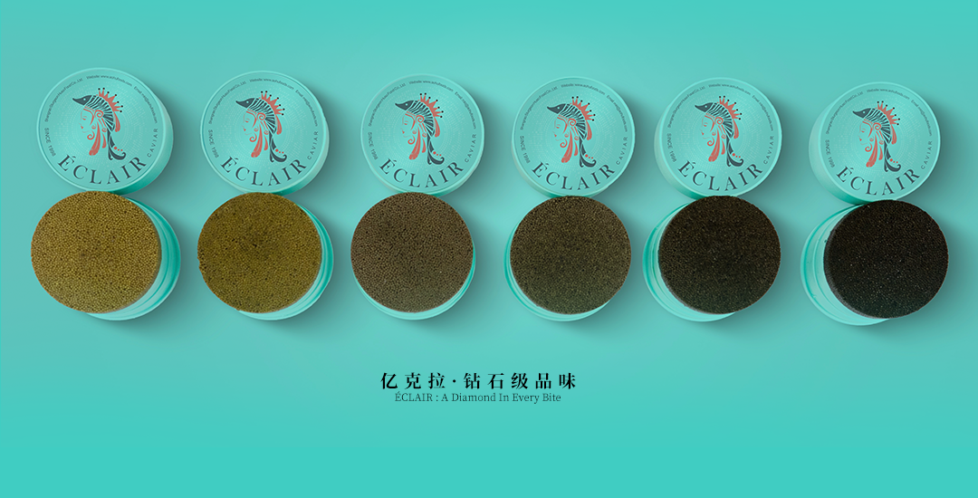 1-拷贝_23.png